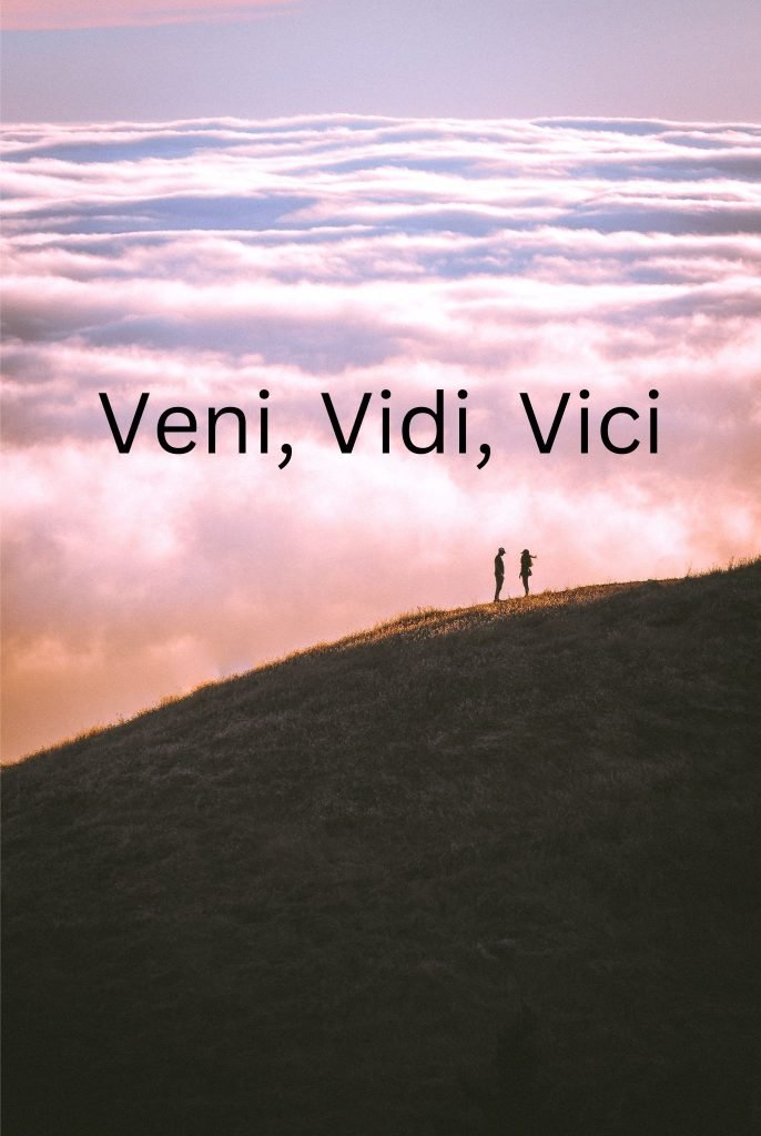 85 Famous Latin Quotes About Success 2023 